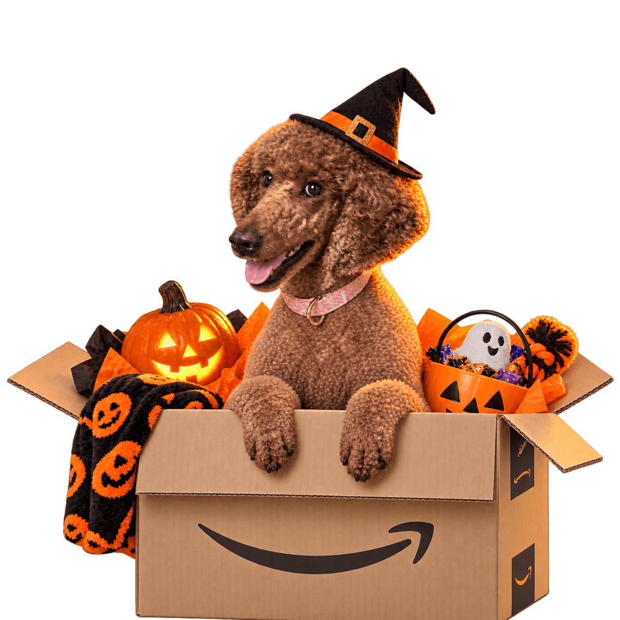 Poodle in a witch hat sitting in a box of Halloween treats